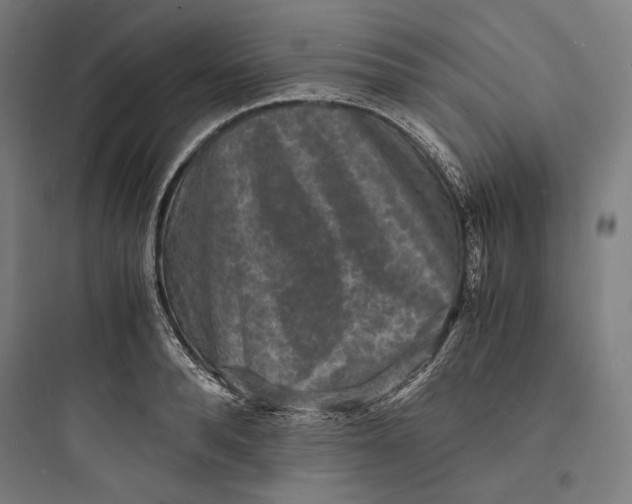 X0000093730896200711060958