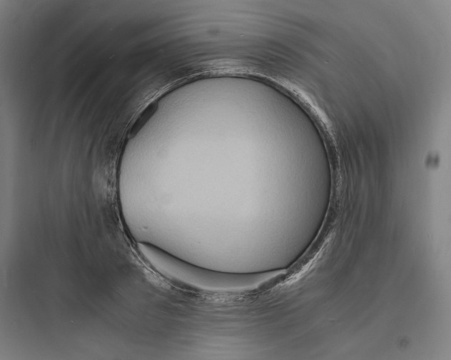 X0000093730897200711060958