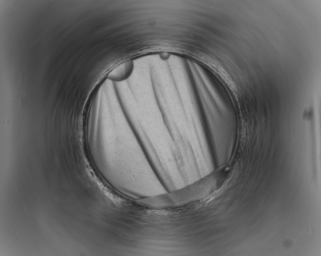 X0000093730898200711060958