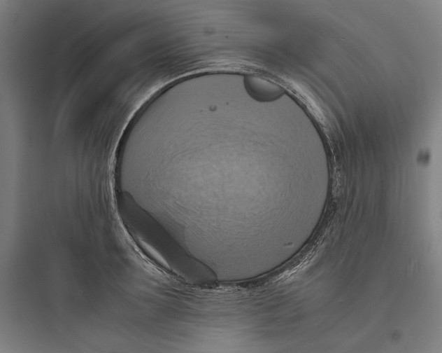 X0000093730899200711060958