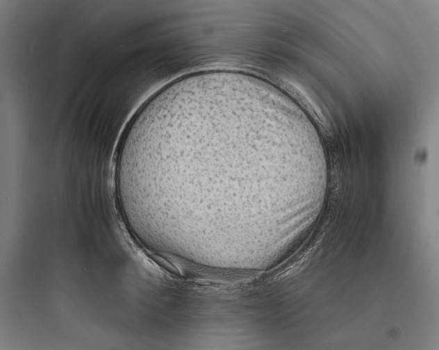 X0000093730900200711060958