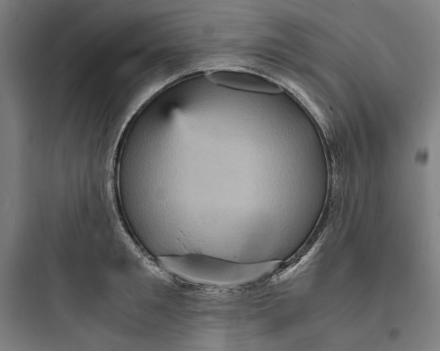 X0000093730901200711060958