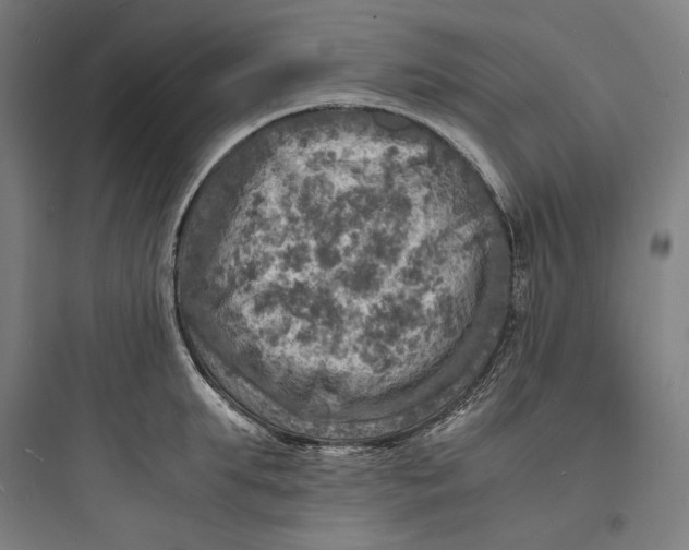 X0000093730903200711060958