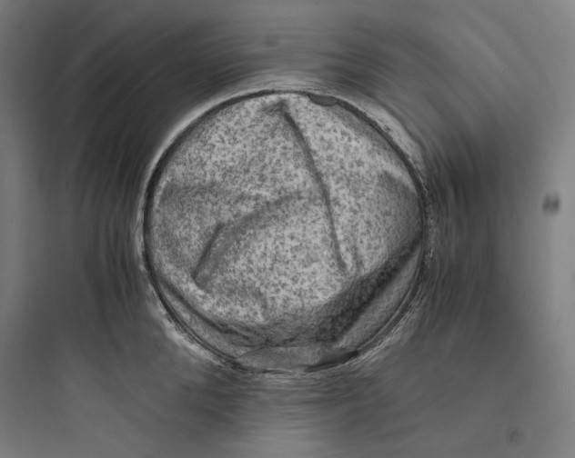 X0000093730904200711060958