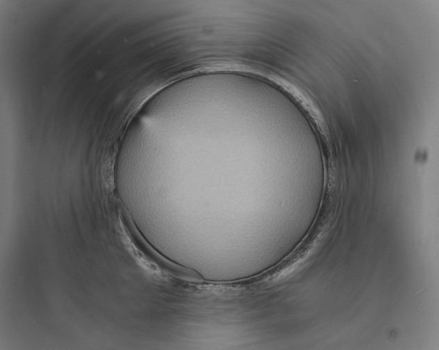 X0000093730905200711060958