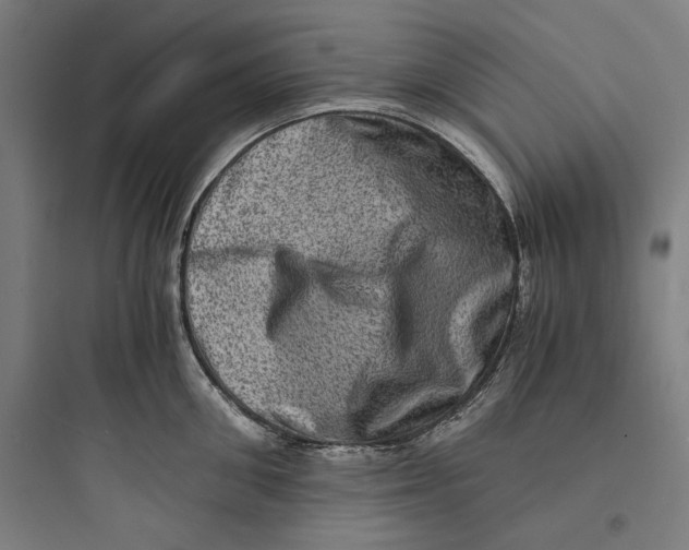 X0000093730906200711060958