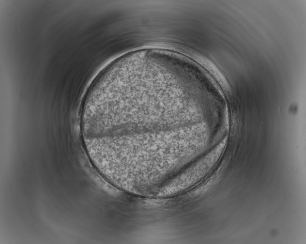 X0000093730908200711060958