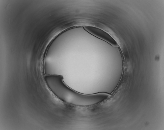 X0000093730909200711060958