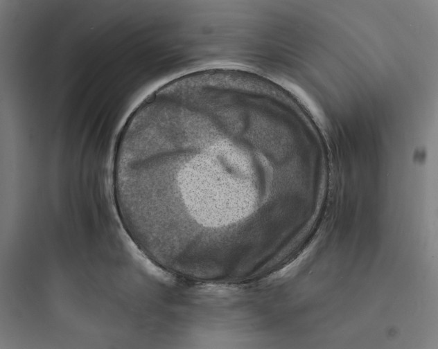 X0000093730910200711060958