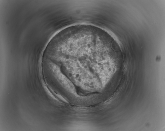 X0000093730911200711060958