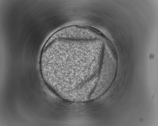 X0000093730912200711060958