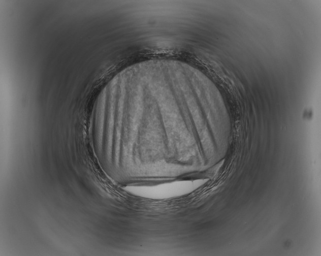 X0000093730916200711060957