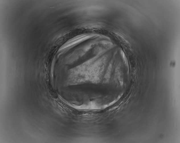 X0000093730917200711060957