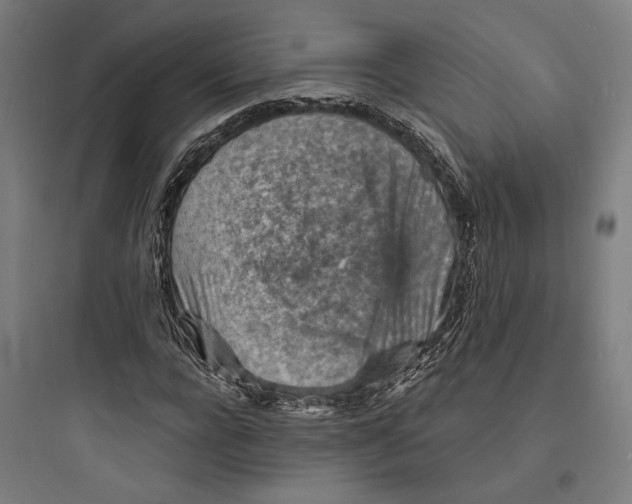 X0000093730920200711060957