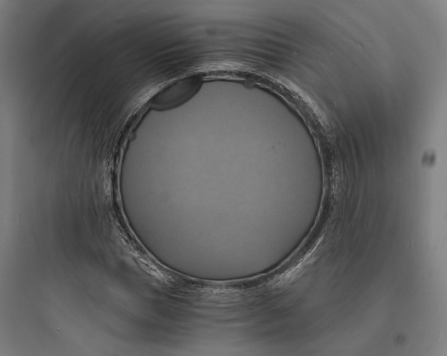 X0000093730921200711060957