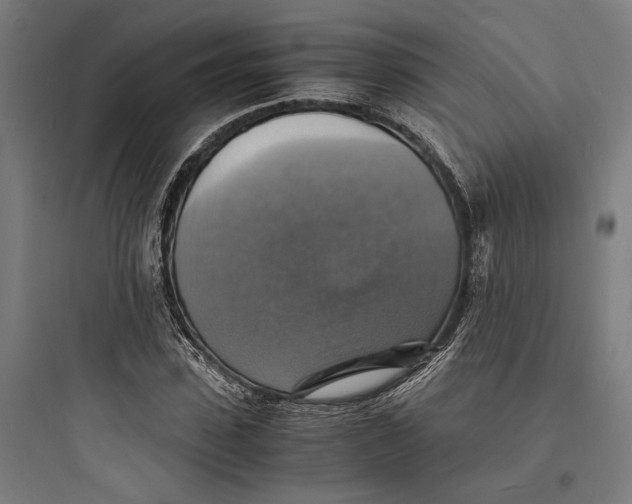 X0000093730923200711060957