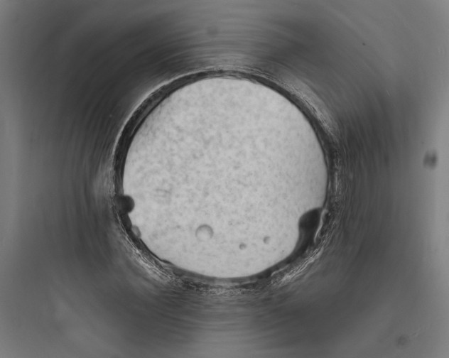 X0000093730924200711060957