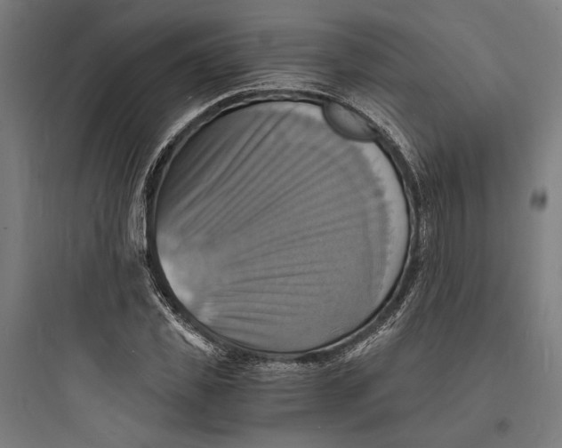 X0000093730925200711060957