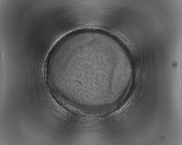 X0000093730926200711060957