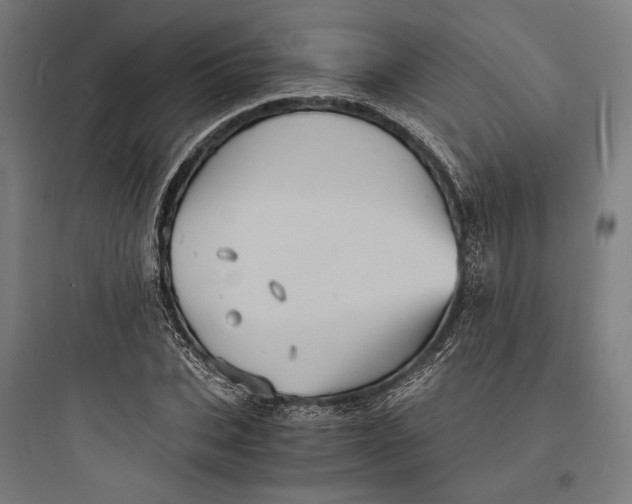 X0000093730927200711060957