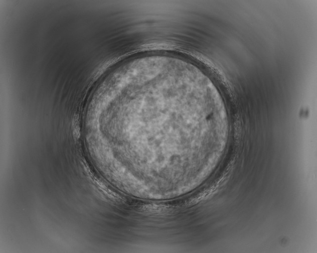 X0000093730929200711060957