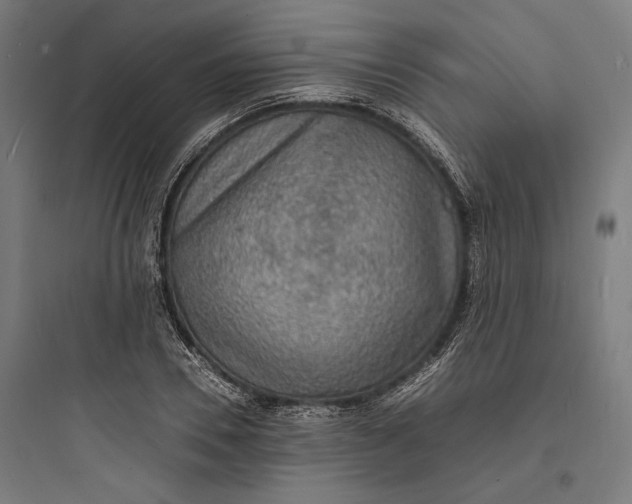 X0000093730930200711060957