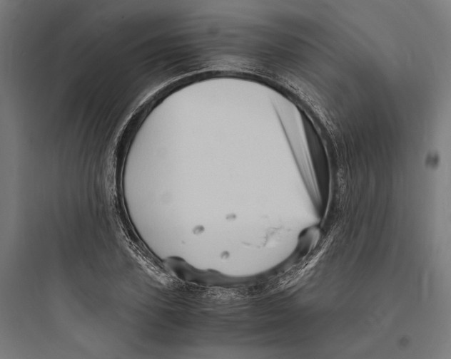 X0000093730931200711060957