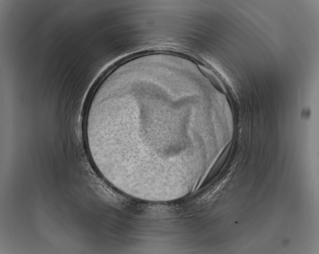 X0000093730932200711060957