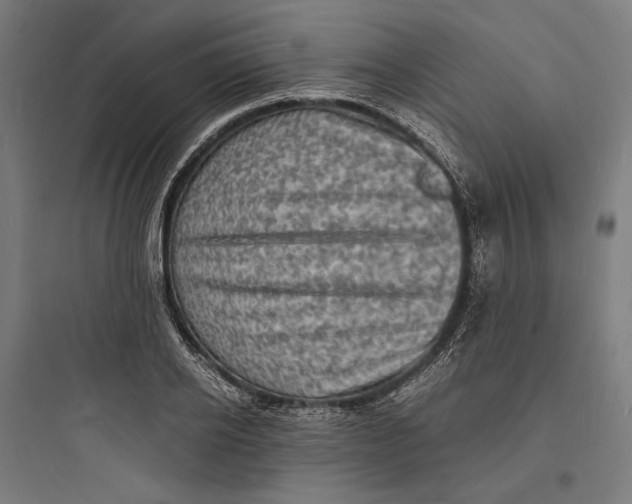 X0000093730934200711060957