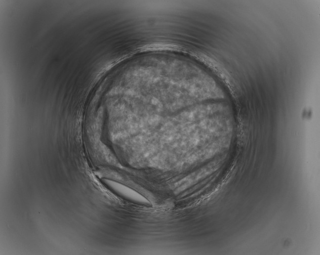 X0000093730937200711060957