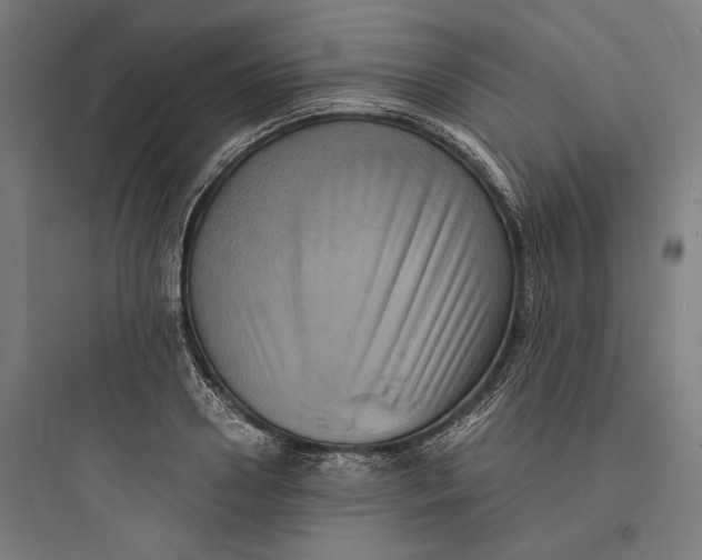 X0000093730938200711060957