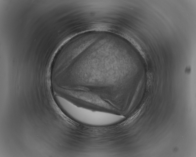 X0000093730939200711060957