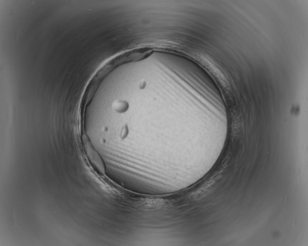 X0000093730940200711060958