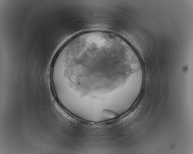 X0000093730941200711060958