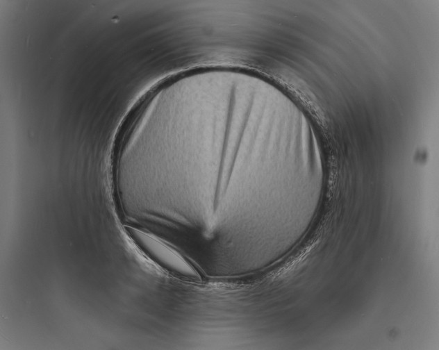 X0000093730942200711060958