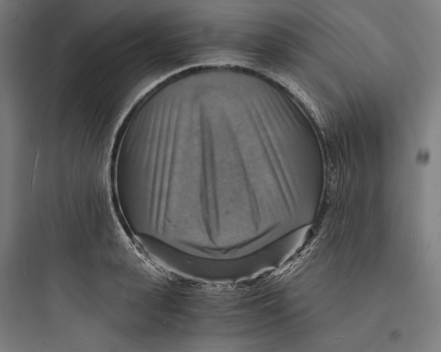 X0000093730943200711060958