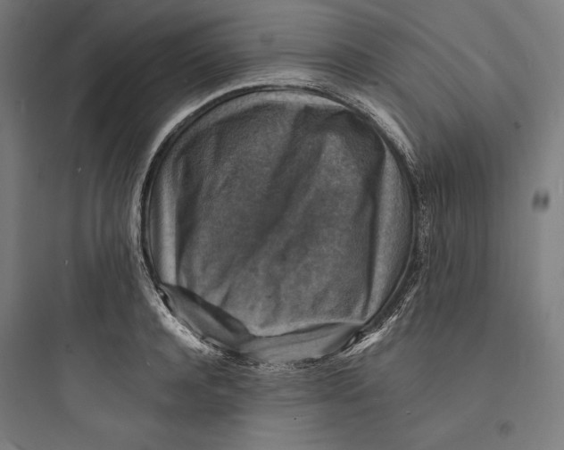 X0000093730944200711060958