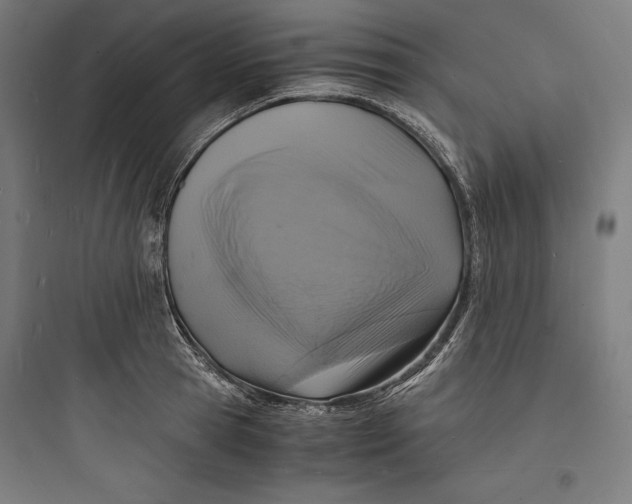 X0000093730945200711060958