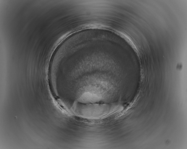 X0000093730946200711060958