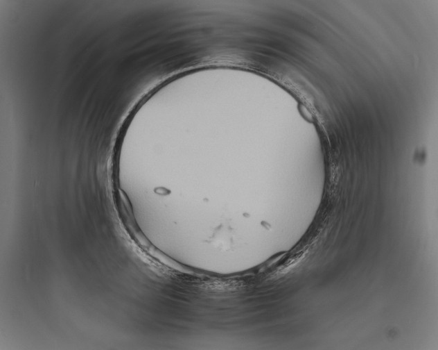 X0000093730947200711060958