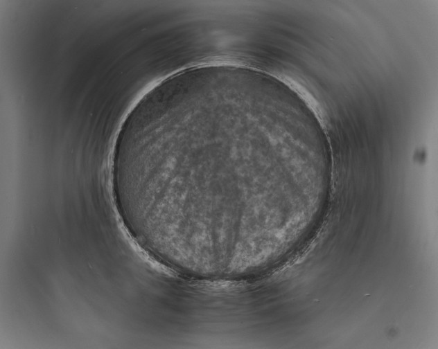 X0000093730949200711060958