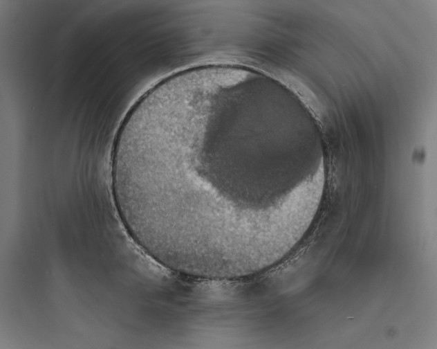 X0000093730950200711060958