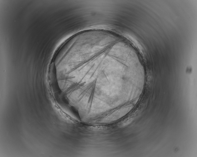 X0000093730952200711060958