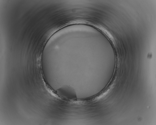 X0000093730953200711060958