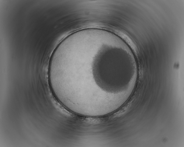 X0000093730954200711060958