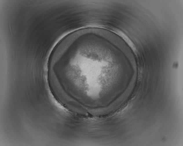 X0000093730955200711060958