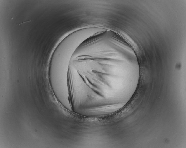 X0000093730956200711060958