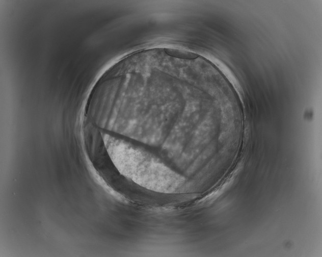 X0000093730957200711060958