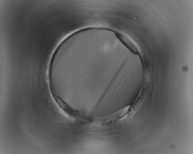 X0000093730959200711060958