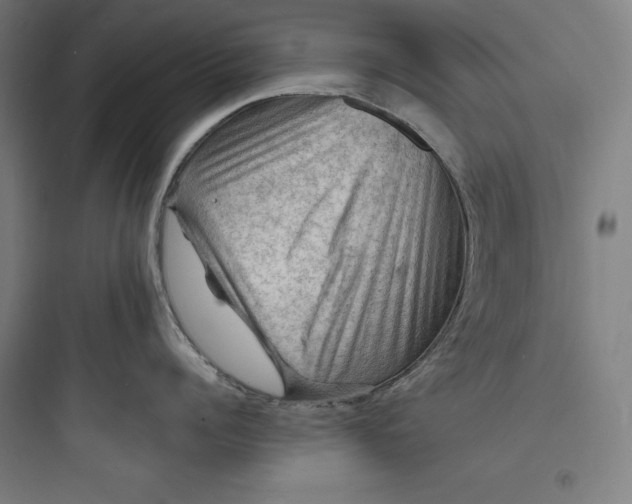 X0000093730960200711060958